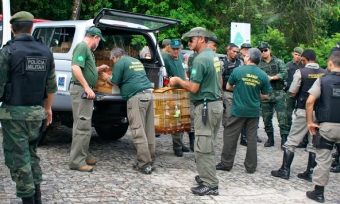 A fiscalização da caça no estado do Rio Grande do Sul