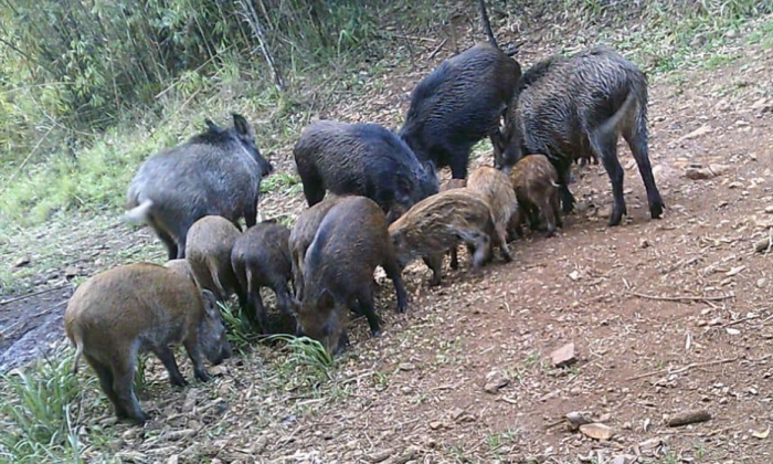 Diretoria da FGCT agradece a publicação de Instrução Normativa da Secretaria da Agricultura