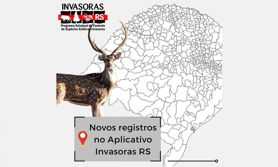 Novos registros no aplicativo Invasoras RS