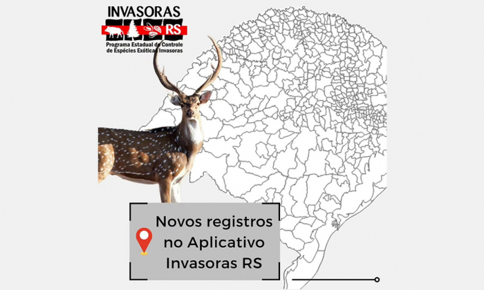 Novos registros no aplicativo Invasoras RS